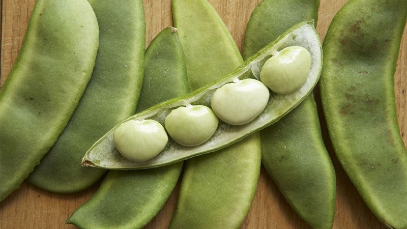 Đậu lima (lima beans)