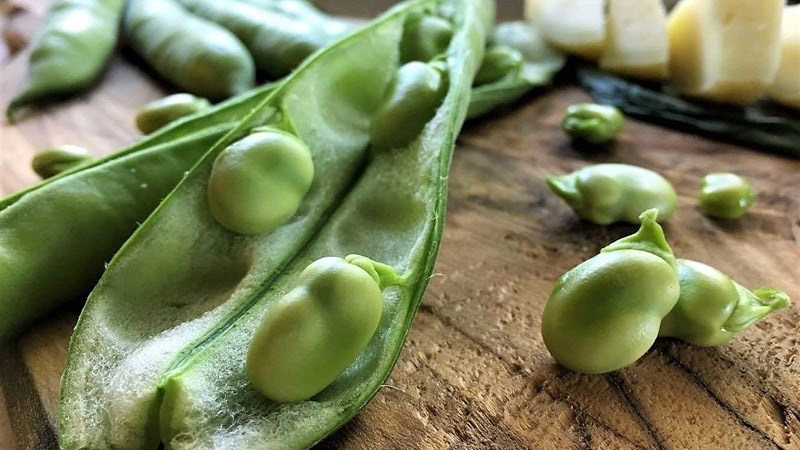 Đậu tằm (đậu fava)