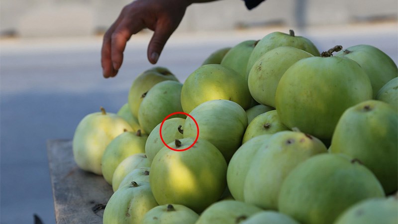 để ý cuống dưa