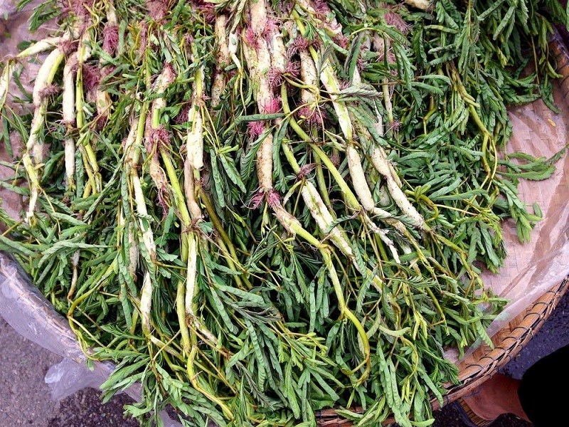 Thành phần bổ dưỡng có vào rau củ nhút