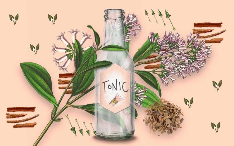 Quinine trong tonic water có an toàn không? 