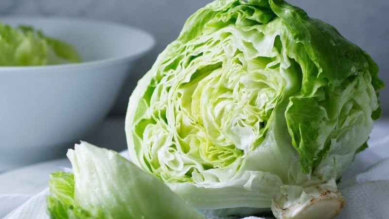 Xà lách iceberg - xà lách Mỹ
