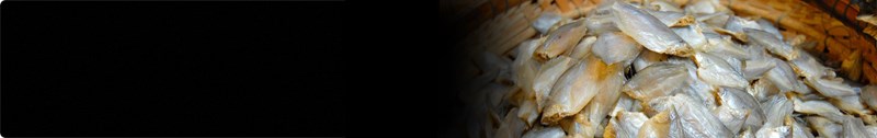 Banner món khô - mắm
