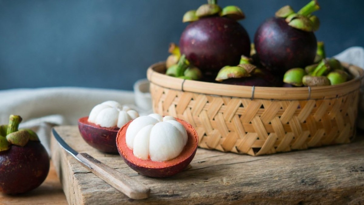 Măng cụt trồng ở đâu, vào mùa nào?