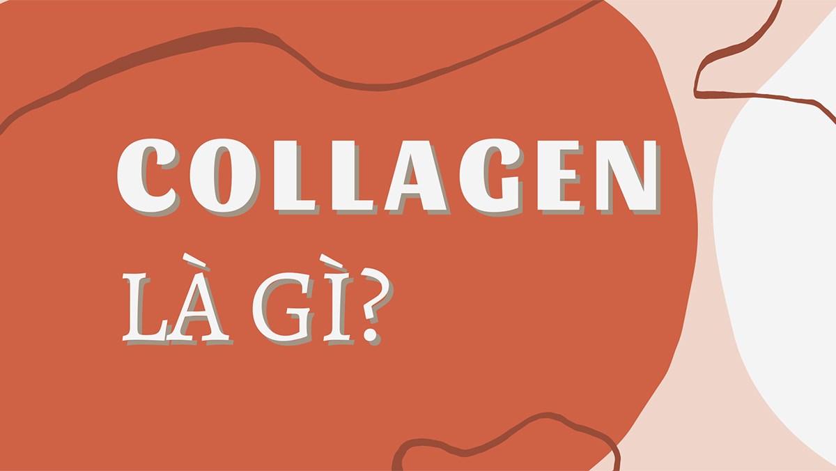 Làm thế nào collagen có thể được sản xuất?
