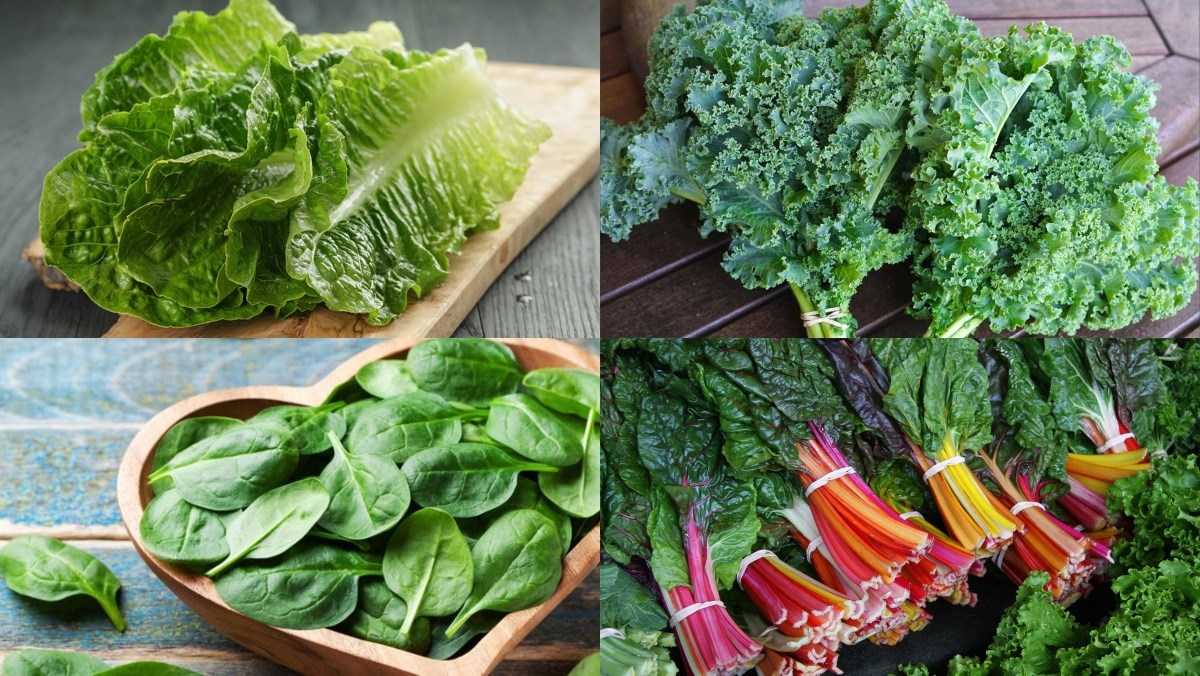 Rau ăn lá là gì? Các loại rau ăn lá tốt cho sức khoẻ