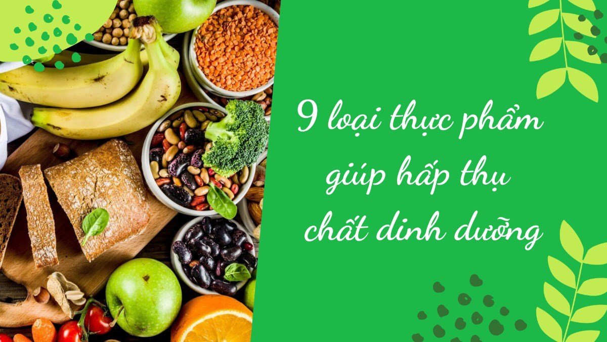 Thực phẩm giúp hấp thụ chất dinh dưỡng