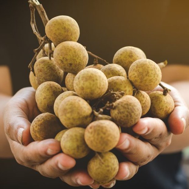Nhãn bao nhiêu calo? Ăn béo và có bị nóng không?