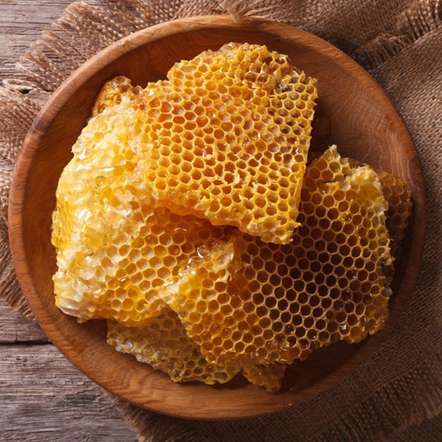 Sáp ong là gì? Sáp ong mua ở đâu, giá bao nhiêu và những lưu ý khi sử dụng