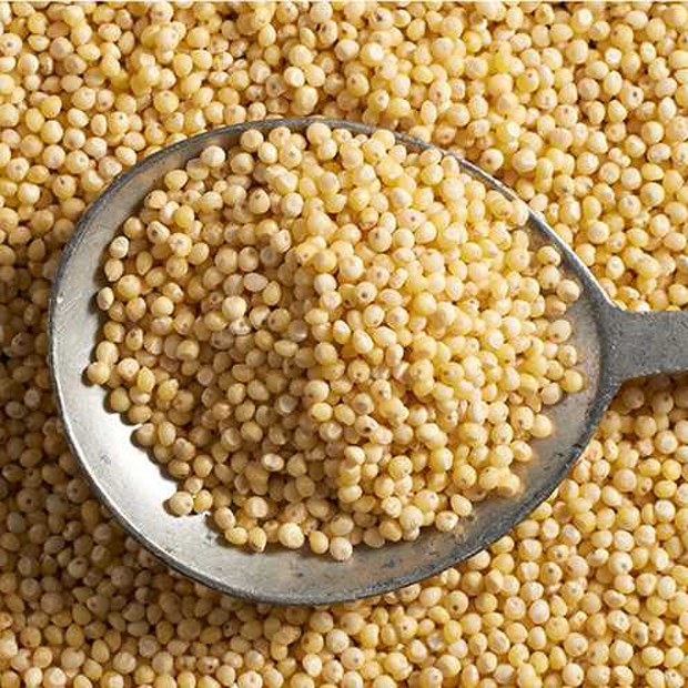 Hạt kê - millet là hạt gì