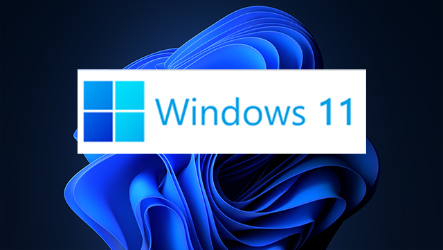 100+] Windows 11 4k Wallpapers | Wallpapers.com