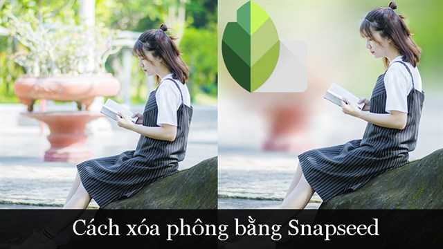 Hãy khám phá bức ảnh đầy màu sắc và tinh tế với kỹ thuật xoá phông cực đẹp. Đây là một cách tuyệt vời để làm nổi bật chủ thể trong bức ảnh và tôn lên vẻ đẹp tự nhiên của cảnh vật. Hãy chiêm ngưỡng bức ảnh này để trải nghiệm cảm giác thật tuyệt vời mà kỹ thuật này đem lại.