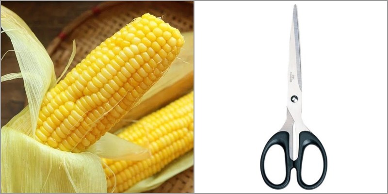 Nguy&ecirc;n liệu v&agrave; dụng cụ để t&aacute;ch hạt