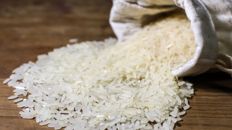 Gạo hữu cơ là gì?
