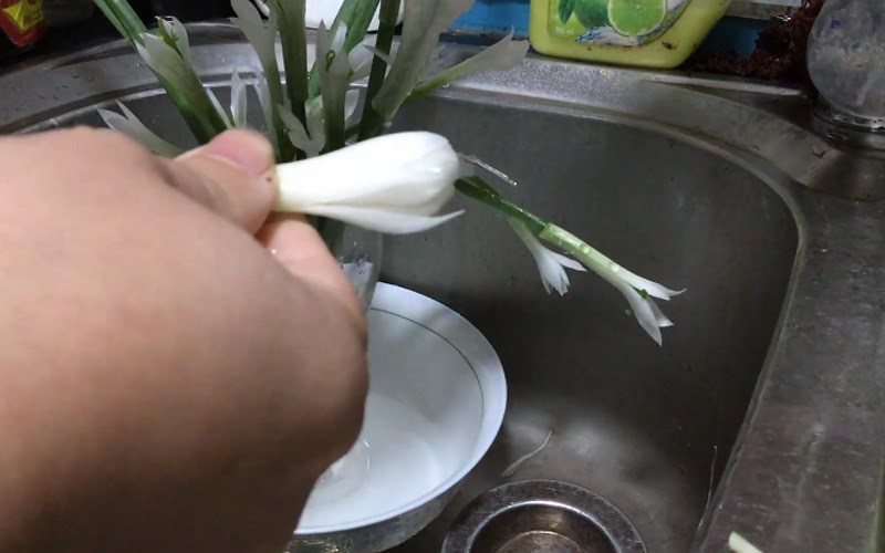 Tỉa c&aacute;nh hoa thủy ti&ecirc;n 