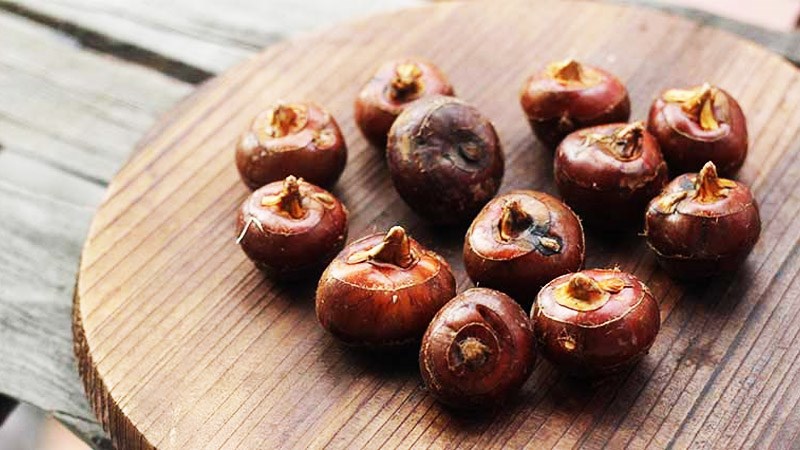 Củ năng là gì?