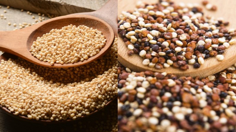 Hạt dền và Quinoa