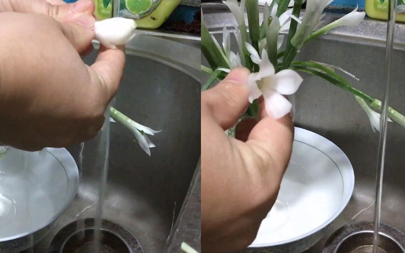 T&aacute;ch lớp hoa thủy ti&ecirc;n 