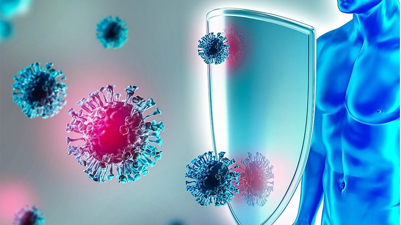Cung cấp nhiều vitamin và khoáng chất