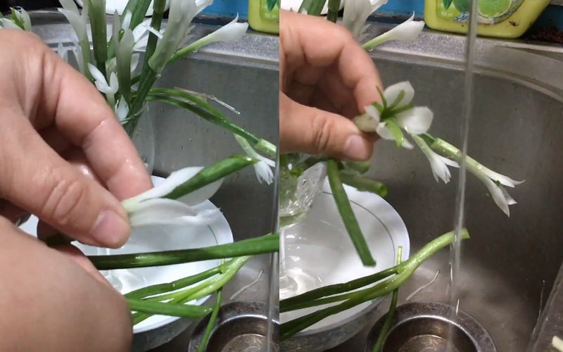 L&agrave;m nhụy hoa 