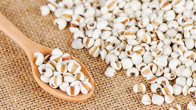 Hạt bo bo là gì, có tác dụng gì? Có phải hạt bo bo thời bao cấp không?
