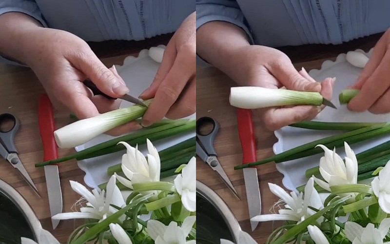 Cắt gốc h&agrave;nh trắng 