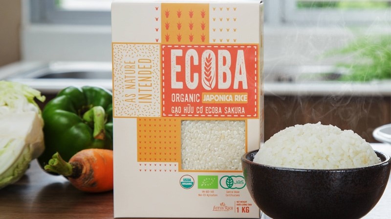 Gạo hữu cơ Ecoba