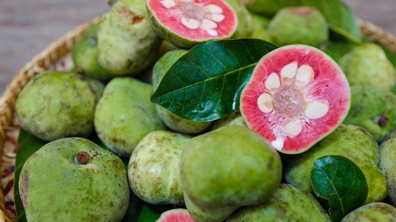 Quả chay - loại trái cây lạ ở Việt Nma