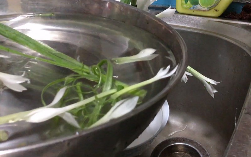 Ng&acirc;m hoa trong nước 