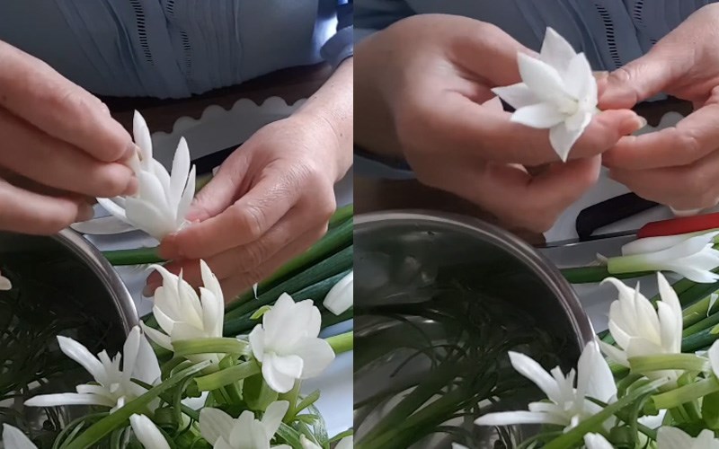 Tạo d&aacute;ng cho b&ocirc;ng hoa nở rộ 