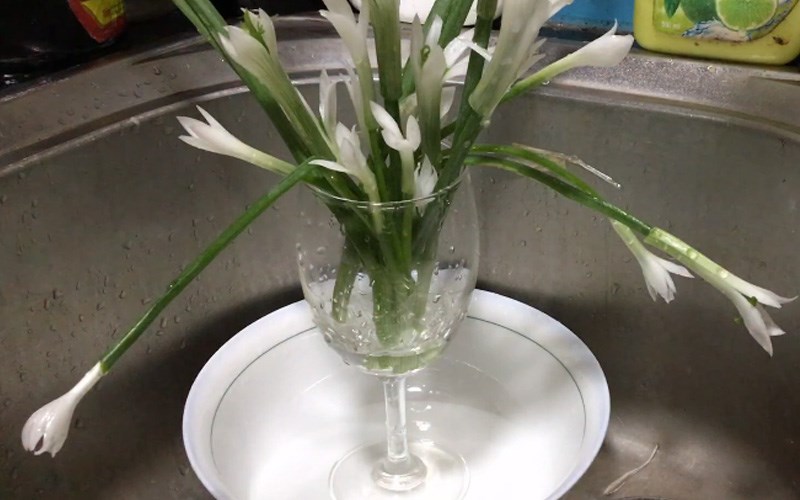 Tỉa hoa thủy ti&ecirc;n từ h&agrave;nh l&aacute;