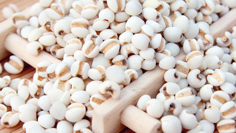 Hạt khư khư bán nơi đâu, giá bán bao nhiêu?