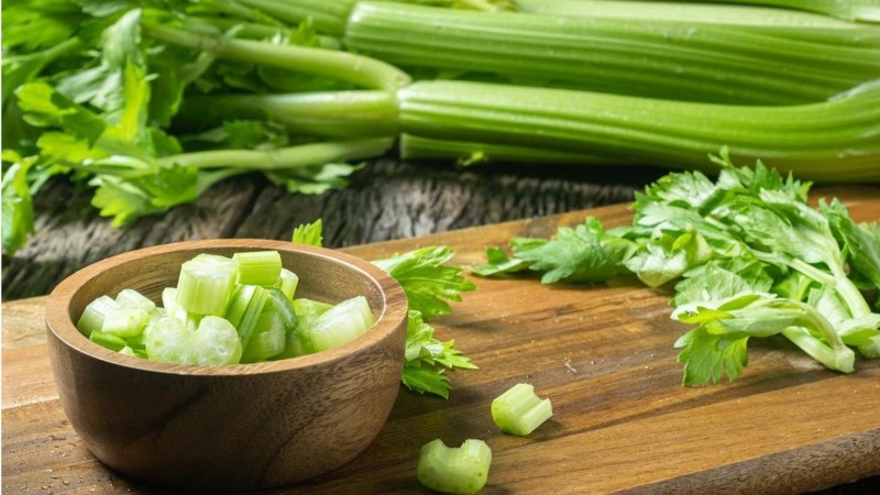 Có năng lực cung cấp với điều trị căn bệnh Gout