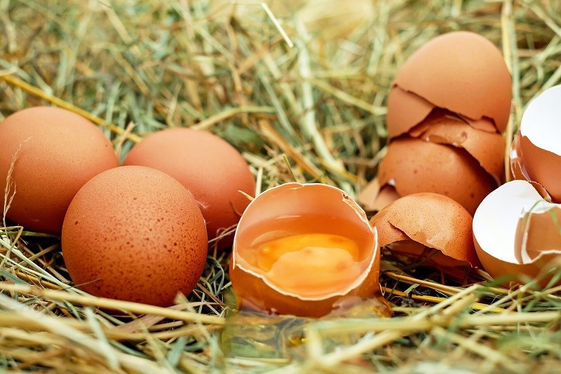 Mẹo nhằm giảm khủng hoảng rủi ro khi nạp năng lượng trứng sống
