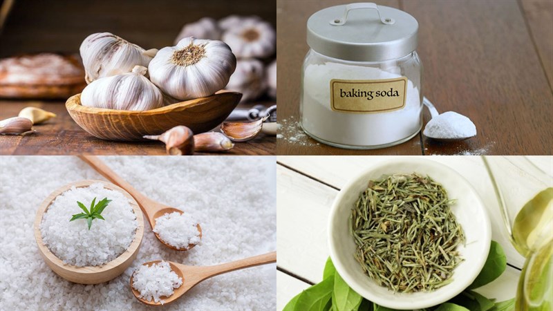 Dùng trà, muối và baking soda để bảo quản tỏi