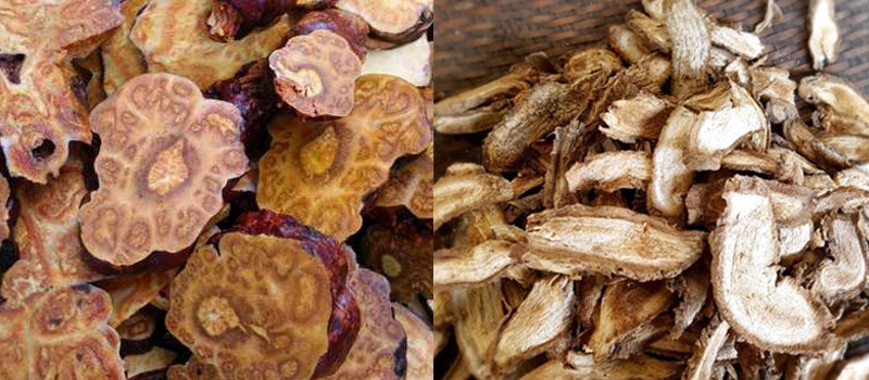 Phân biệt hà thủ ô đỏ và trắng