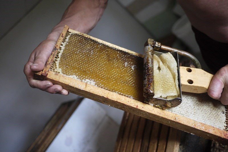 Sáp ong trắng là gì CáccCông dụng đối với sức khỏe