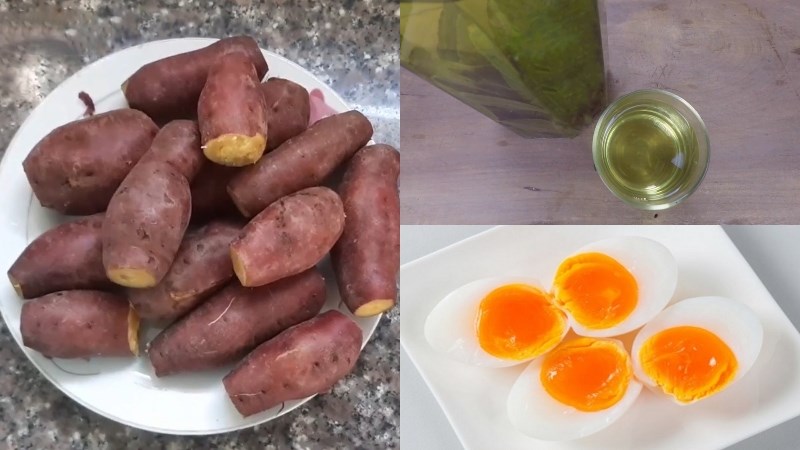 Bữa sáng: 1 quả trứng luộc, 1 củ khoai lang luộc, 1 tách trà xanh