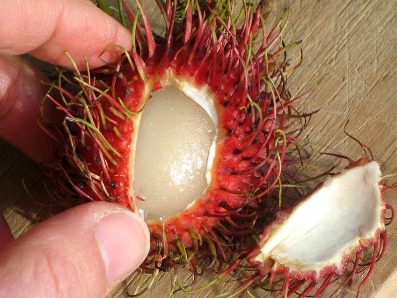 Không sử dụng miệng để rửa vỏ đi chôm chôm