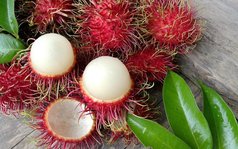 Cung cấp lượng chất Fe xứng đáng kể