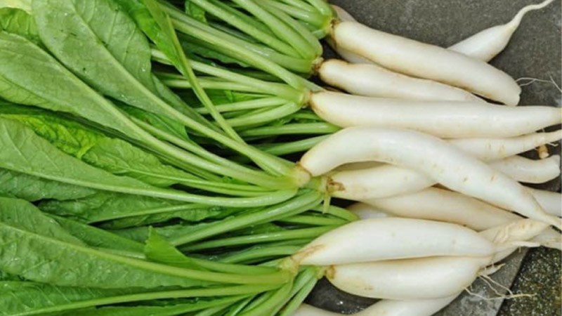tin tức về lá củ cải trắng