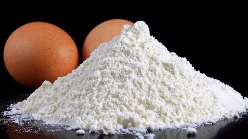 Bột protein từ trứng