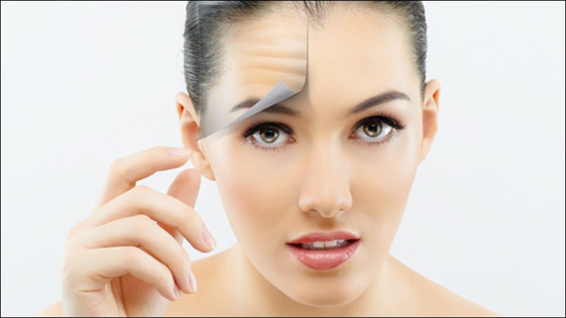Rễ bồ công anh giàu chất chống oxy hoá