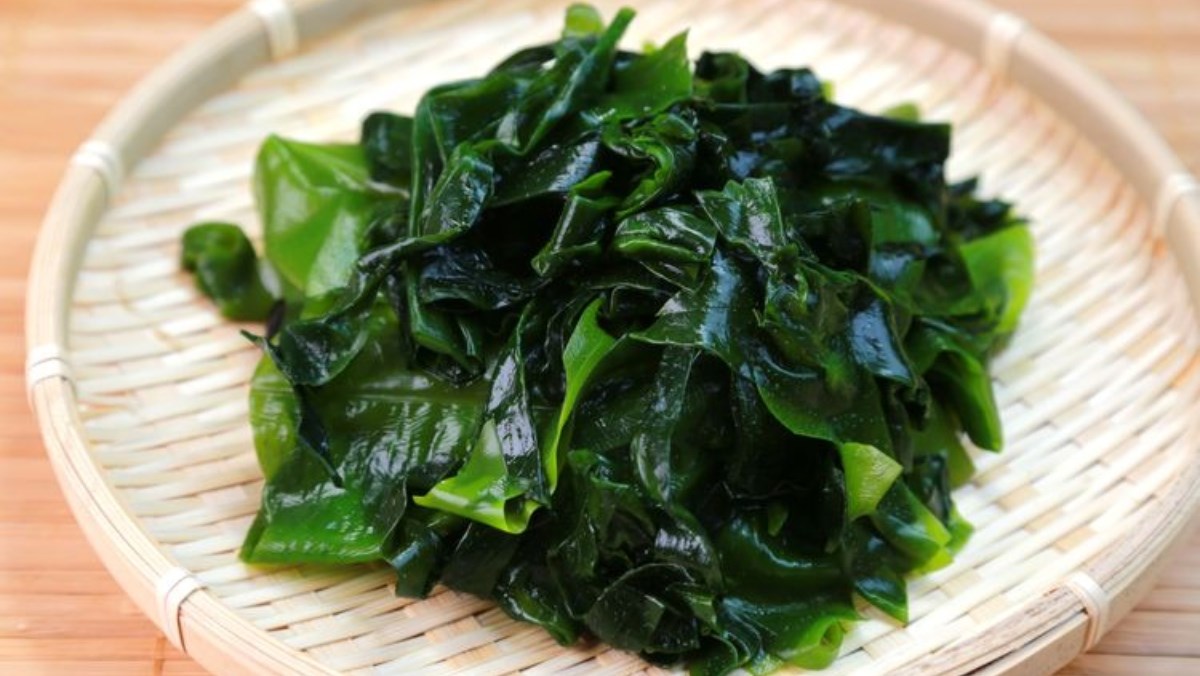 Tổng hợp các loại rong biển ăn được