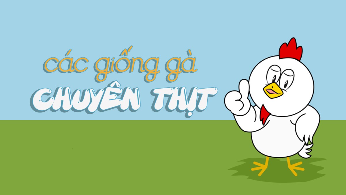các giống gà chuyên thịt  ở Việt Nam
