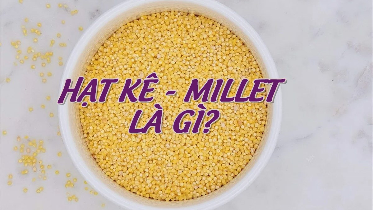 Hạt kê - millet là hạt gì