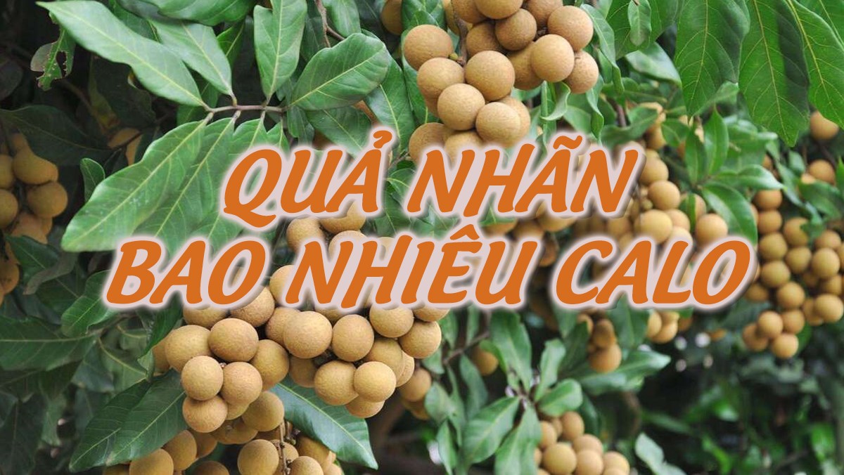 Nhãn bao nhiêu calo? Ăn nhãn có béo không và ăn nhãn có bị nóng không?