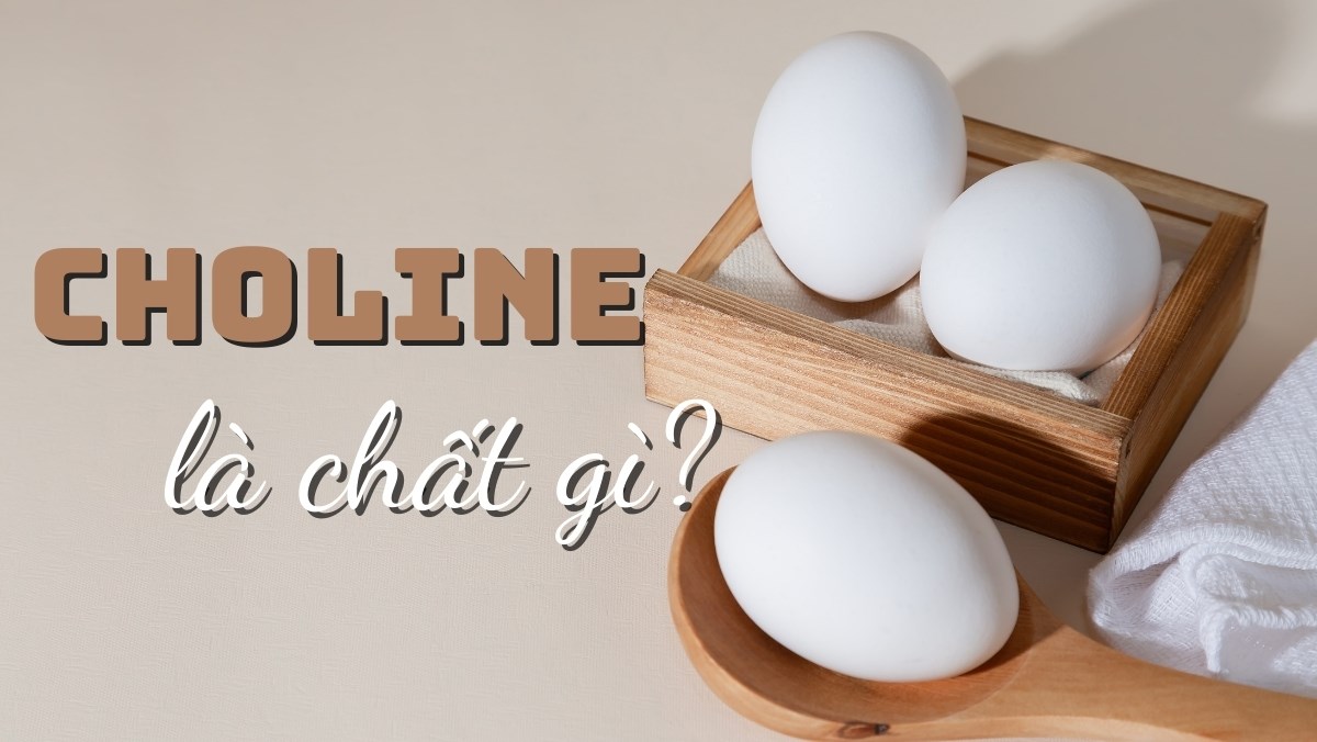 Choline là chất gì? Vai trò, cách bổ sung thực phẩm giàu choline