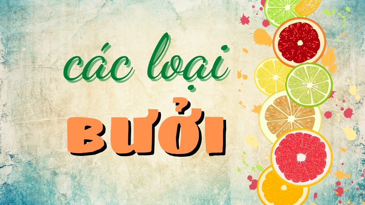 Các loại bưởi được trồng tại Việt Nam