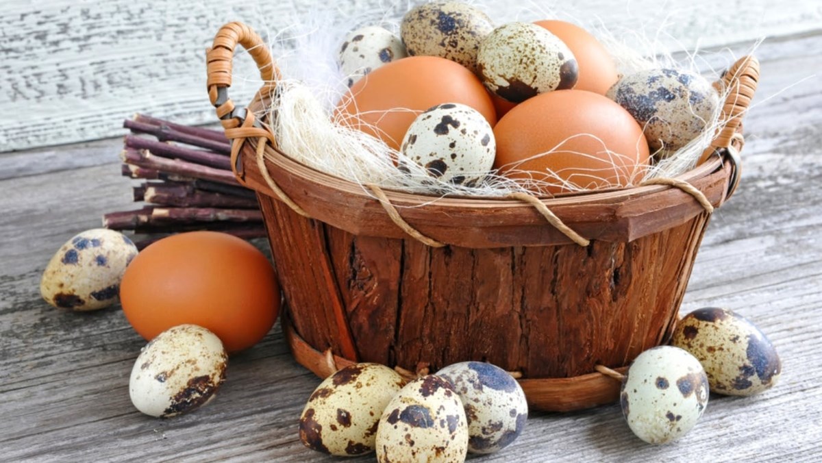 Điểm danh các loại trứng phổ biến